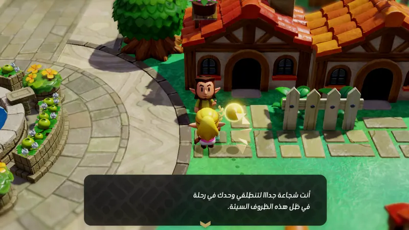 لقطة من تعريب زيلدا أصداء الحكمة داخل اللعبة