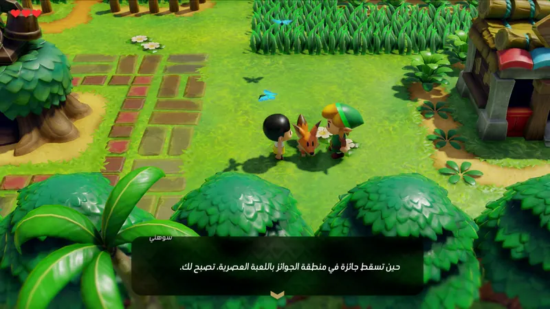 لقطة من تعريب زيلدا صحوة لينك داخل اللعبة